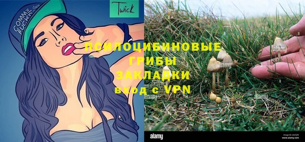 PSILOCYBIN Алексеевка