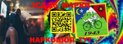 дмт Сланцы