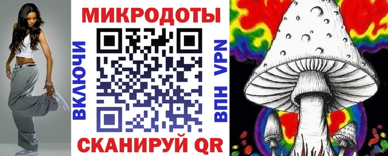 Псилоцибиновые грибы Cubensis Сыктывкар