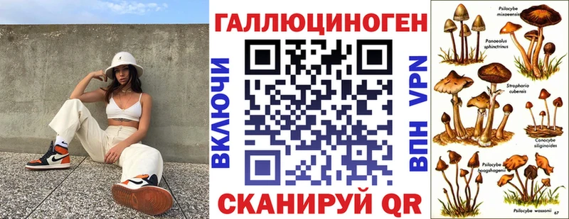 Галлюциногенные грибы Psilocybine cubensis  Сыктывкар 