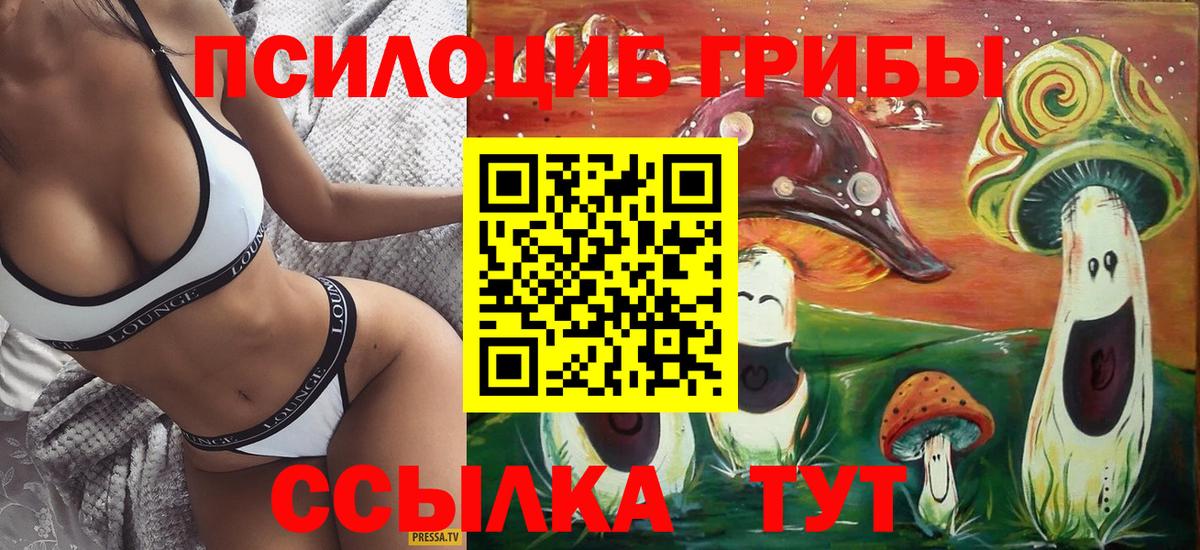 Галлюциногенные грибы мицелий Сыктывкар